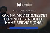 Что такое Herotag? Как Maiar использует Elrond Distributed Name Service (DNS)