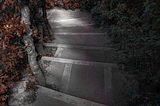 Down concrete stairs in the middle of the dark forest