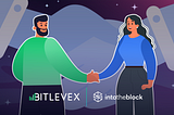 BITLEVEX Partners Up with IntoTheBlock Analytics Platform