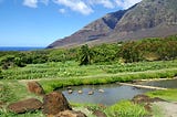 An Omnibus Bill May be What’s Needed to Transform Hawaiʻi’s Food System