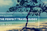 How to Choose the Perfect Travel Buddy for You