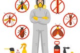 DIY Home Pest Control: Natural Solutions for Keeping Bugs at Bay