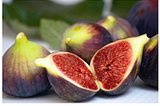 Fig Season