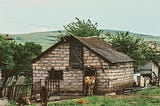 In the village ruled by animals: A semi-abandoned Georgian story