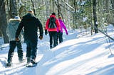 Reasons Why Snowshoeing is a Perfect Polar Activity