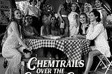 Chemtrails Over The Country Club — more intimate, less grandiloquent, still brilliant/ review