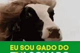 Os 5 Tipos de Gado Encontrado no Brasil