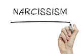 An In Depth Look at Narcissism
