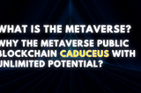 What is the metaverse? Why the metaverse public blockchain Caduceus with unlimited potential?