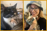 Split image. Left side: Two cats cuddling — one black-and-white tuxedo cat (Mickey) with calm eyes, and one brown tabby (Callie) resting her head against him with her eyes closed. Right side: A smiling woman wearing glasses and a blue bucket hat holds a small tabby cat in her arms. The cat looks up at her affectionately.