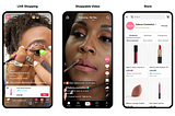 Creating Viral TikTok Video Ads: Tips from Influencers