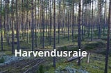Millega arvestada metsamaad ostes?