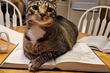 Cat smuggly sitting on textbook.