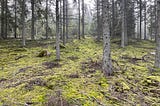 Understanding Nature-Based Investments