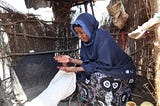 In Kenya’s arid lands, WFP helps families recover from weather extremes