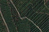 A Tale of Two Coffee Farmers: Understanding farm potential and segmentation with Earth Observation