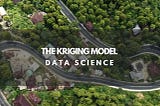 The Kriging Model