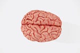 A picture of a brain.