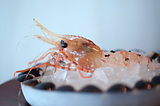 A review of AFI DOCS Festival: Ants on a Shrimp