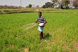 Securing Land Rights for the Poor is Key to Telangana’s Success