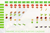 Zimbabwe Vegetable Farming Calendar