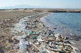 More Plastic than Fish in the Oceans by 2050