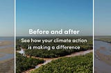 Central Tickets’ Commitment to Responsible Carbon Investment: Addressing Concerns About…