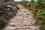 Rough Road