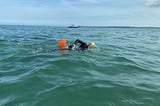 #SwimTheSolent 2024