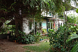 TokNenek Home Away, Photo by SEEDS Malaysia — Seedling Pod and Working Office, Bamboo Tree Shade — A Forgotten Land Transform by Nature Into a Mini Food Forest