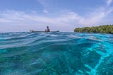 Delivering on Blue Finance: What’s Working and What Needs to Scale