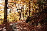 La cinta de correr por montaña