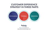 The Customer Of The Future: The Psychological, Technical, and Experiential Strategies