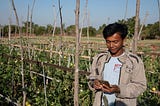 The Facebook Farmers: How Social Media is Modernizing Agriculture in a Tech-Starved Myanmar Village