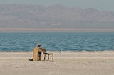 Photo: Chase Wilson Weathered Organ on Salton Beach Shore CA, US