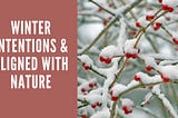 Wintering: how to be aligned with nature and embrace true winter energy