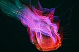 Qrypt — Quantum Key Distribution