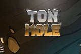 DIGGING DEEPER: UNVEILING THE TON MOLE PROJECT