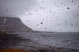 Under The Weather: High Gales & Wild Waves In Snæfellsnes