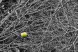 Self-Abandonment: The Quiet Tragedy of a Life Not Lived