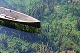 Standing waters — the crisis of congested entropy in our global economy