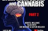 Brain Stem Stroke Recovery & Cannabis: Ian McGann Part II