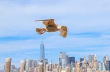 How to soar above the rest and cultivate the innovative Eagle mentality.