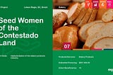 Moeda Selected Seed — Seed Women of the Contestado Land