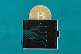 3 Different Types of Cryptocurrency wallets