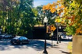 A stretched black town car is shown driving down a bright, tree-lined street toward an underpass. The leaves in the tree are varying shades from green to orange, highlighting that it is an autumn day.