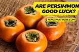 (15 Wealth Building Tips): Persimmon Symbolism, Feng Shui