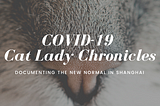 #COVID19 Cat Lady Chronicles