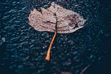 Droplets of Life