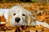 건대핸플『〖추천사이트: optoday3.com〗』↗오피투데이(오투)♥통↘인천오피사이트